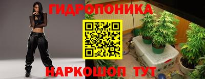 ГАЛЛЮЦИНОГЕННЫЕ ГРИБЫ Сланцы