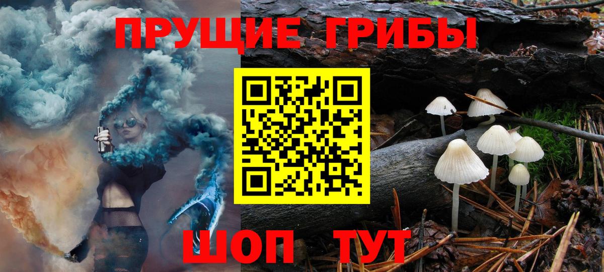 Галлюциногенные грибы MAGIC MUSHROOMS Нягань
