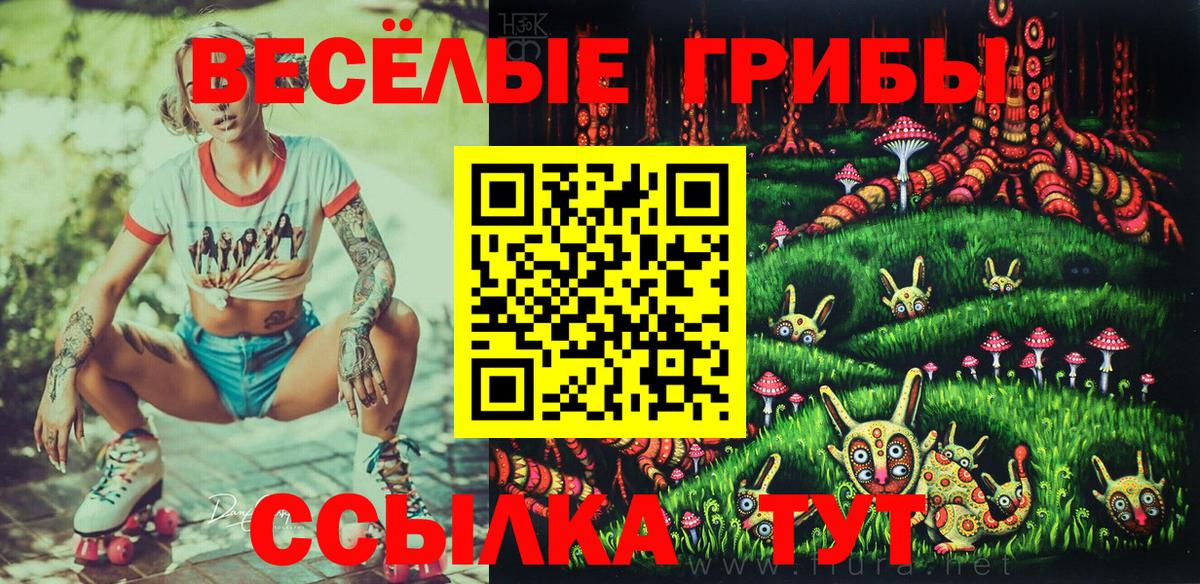 Нягань  Псилоцибиновые грибы Psilocybine cubensis  Вход с VPN 